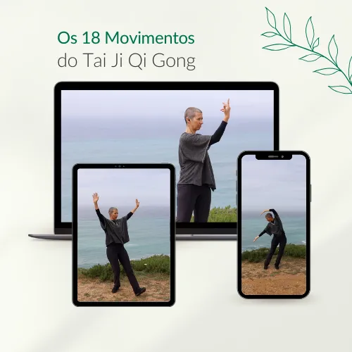 Vista de um movimento de Qi Gong no pc, na tablet e no telemóvel.