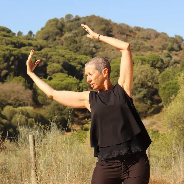 movimento de varrer o arco-iris do tai ji qi gong